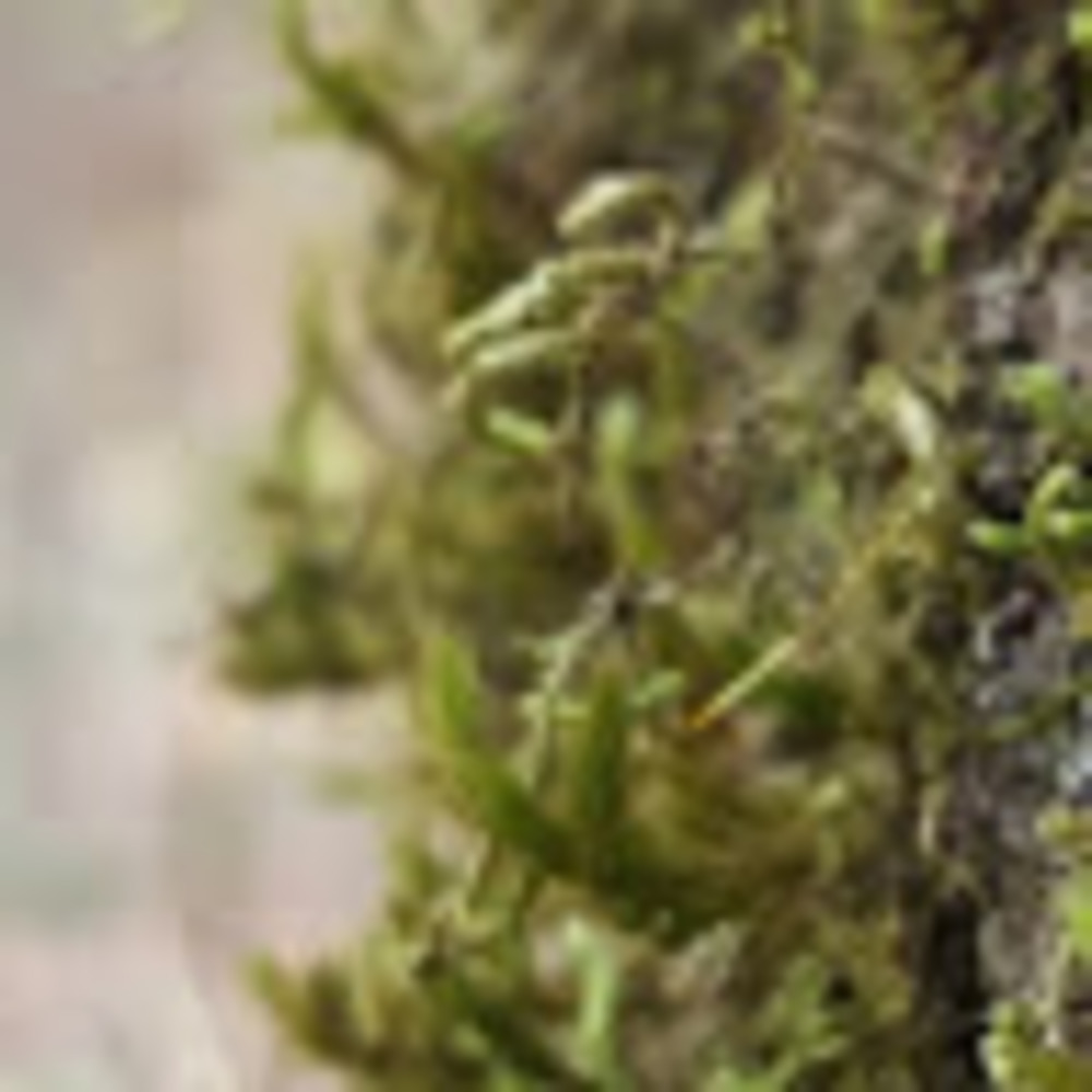 Meet your Posher, Sandi